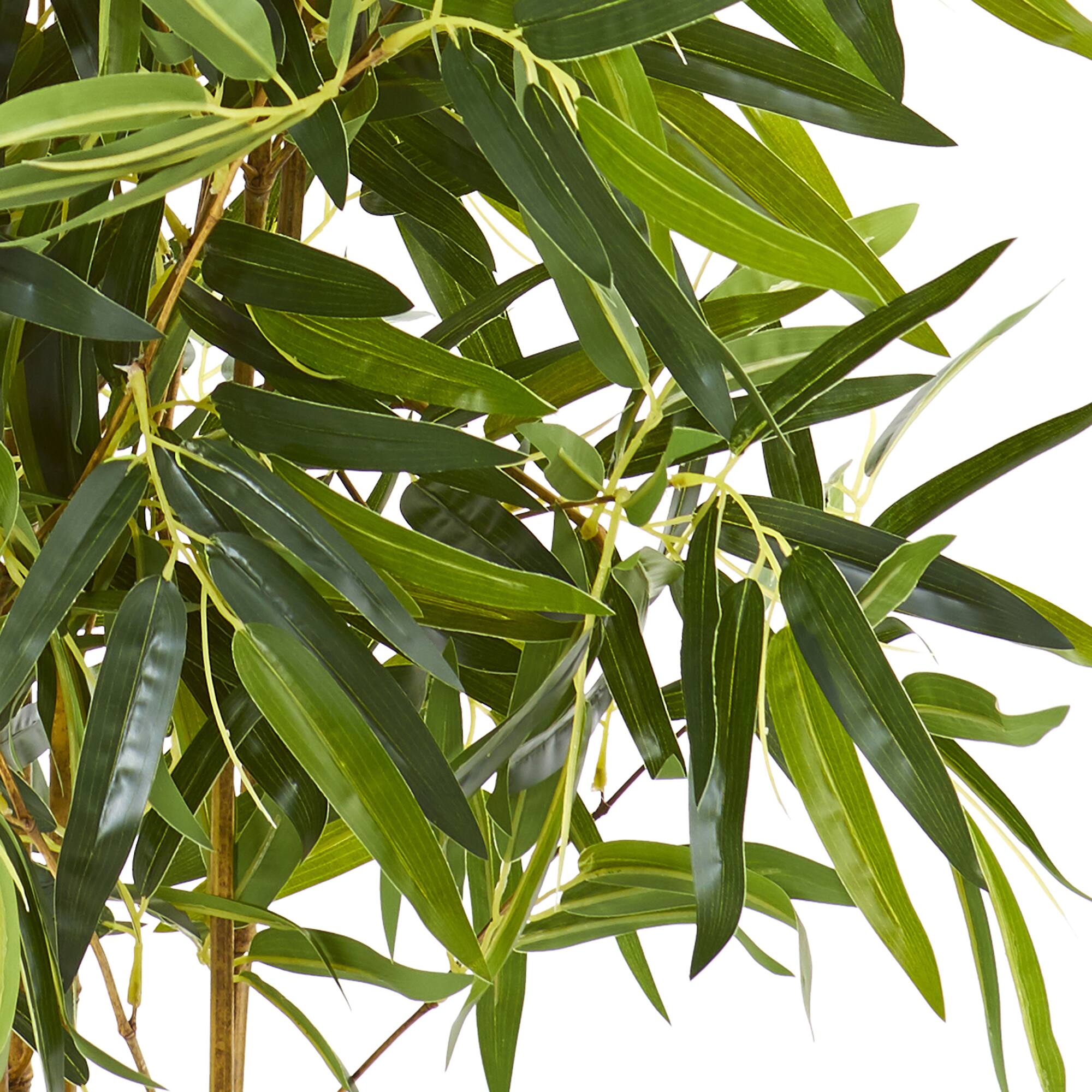 4.5ft. Bamboo Tree in Terracotta Planter